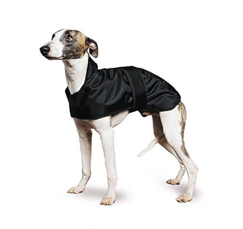 Ancol Whippet Coat Small 43cm