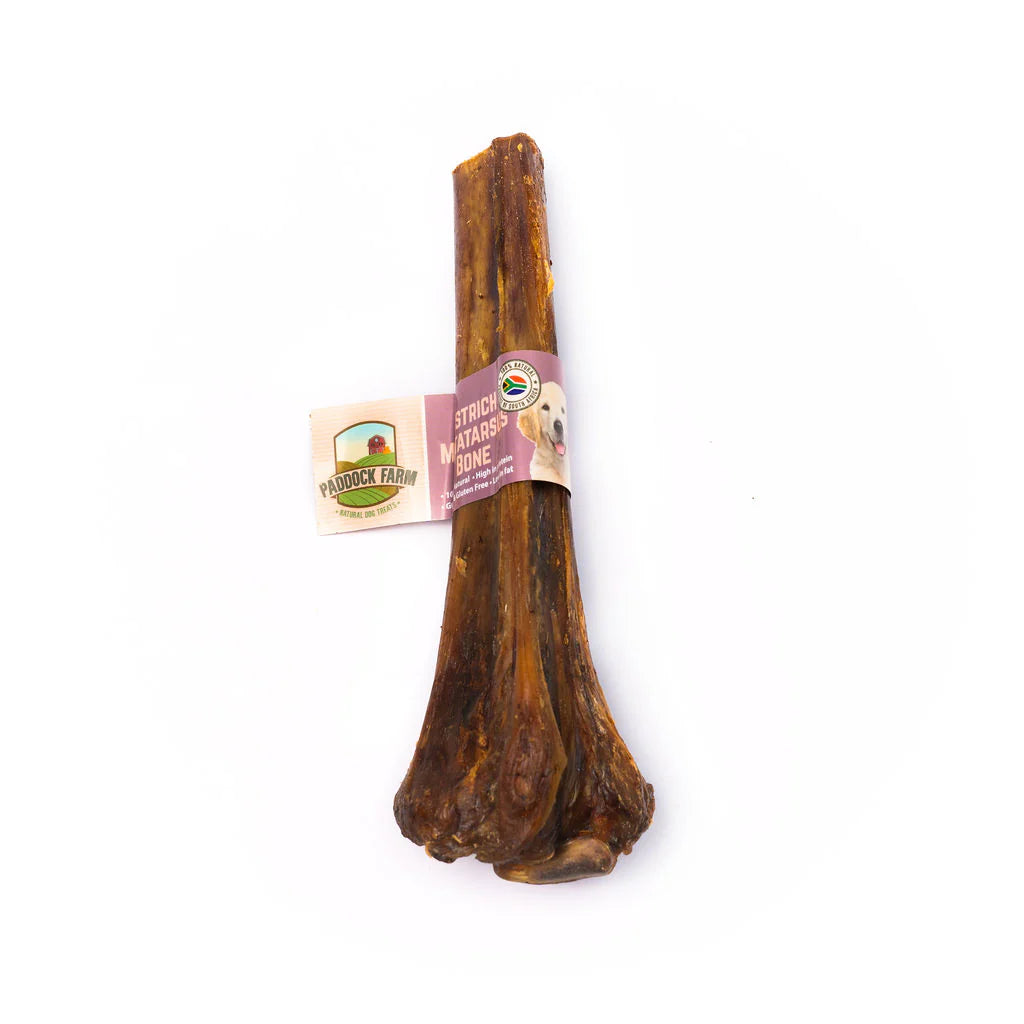 Paddock Farm Ostrich Metatarsus Bone