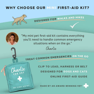 Charlie The Vet Mini Pet First Aid Kit