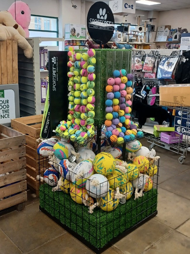 Sportspet Mini Tennis Display Stand Packs (DCse 30)