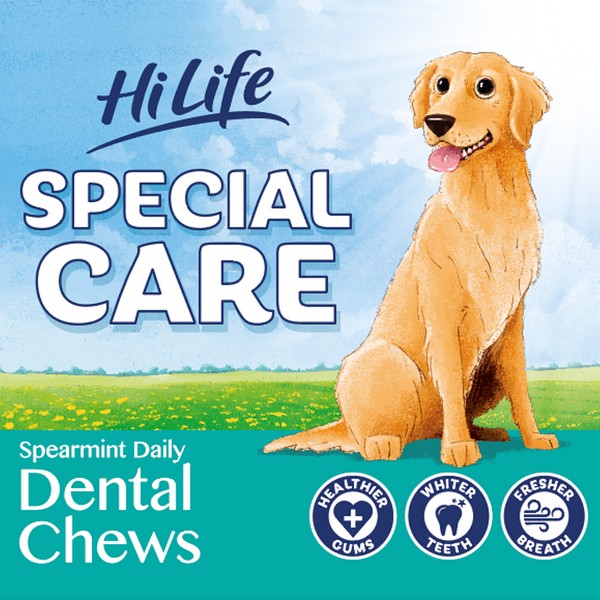 HiLife Special Care Daily Dental Chews Spearmint Jar 180g