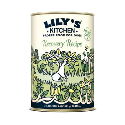 Lilys Kitchen Recovery Recipe for Dogs 400g