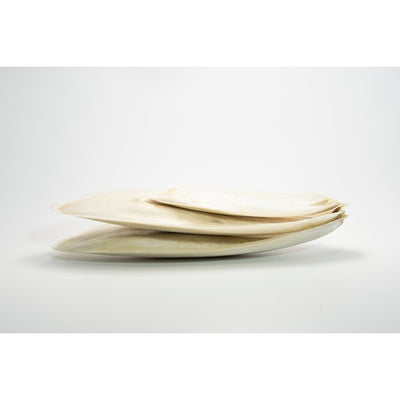 Cuttlefish Bone 3Inch to 12Inch 1kg