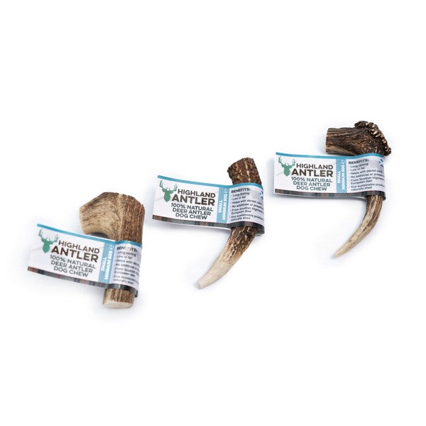 Antos Antler Small 50-75g