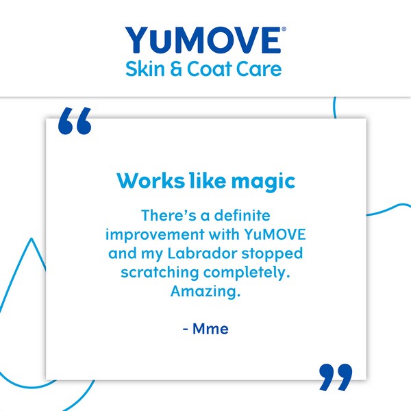 YuMOVE Skin & Coat Care Itching for Adult Dogs | 250ml