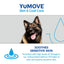 YuMOVE Skin & Coat Care Itching for Adult Dogs | 250ml