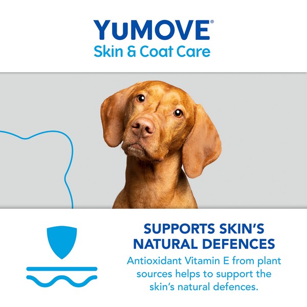 YuMOVE Skin & Coat Care Itching for Adult Dogs | 250ml