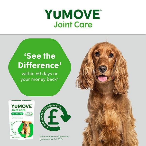 YuMOVE Joint Care for Adult Dogs | 60 pack