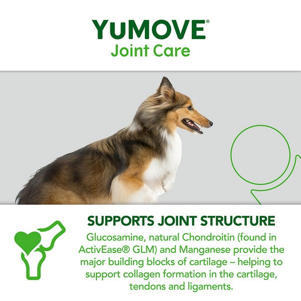 YuMOVE Joint Care for Adult Dogs | 60 pack