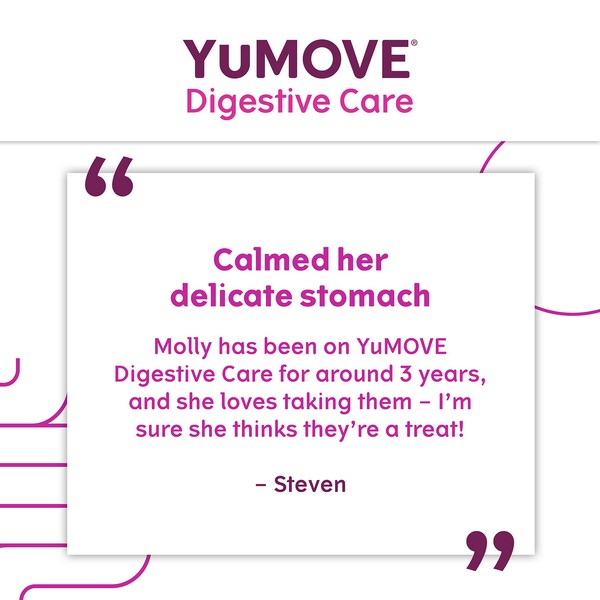 YuMOVE Digestive Care for All Dogs | 300 pack