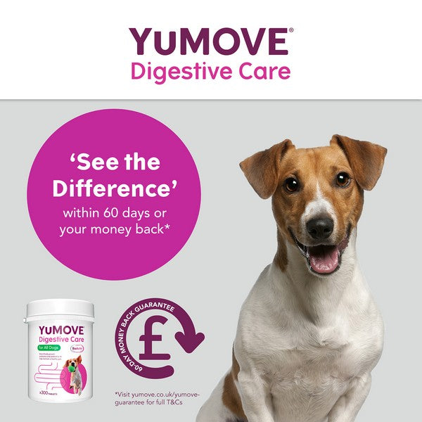 YuMOVE Digestive Care for All Dogs | 300 pack