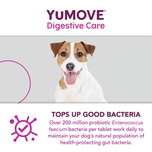 YuMOVE Digestive Care for All Dogs | 300 pack