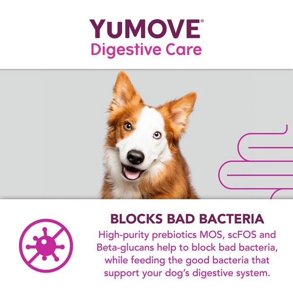 YuMOVE Digestive Care for All Dogs | 300 pack