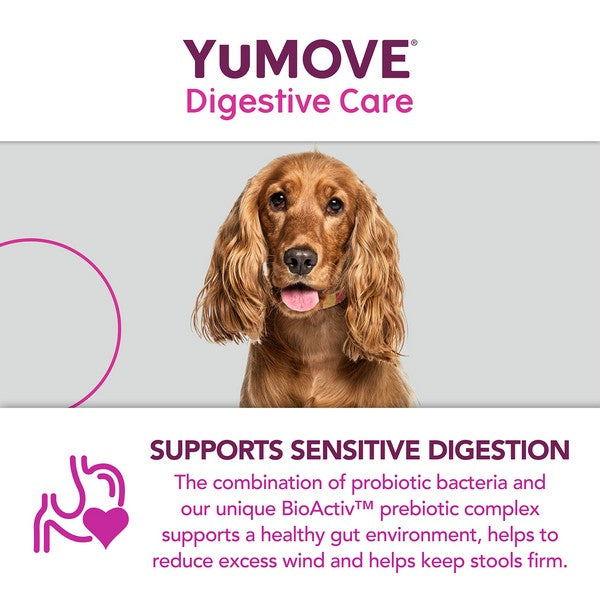 YuMOVE Digestive Care for All Dogs | 300 pack