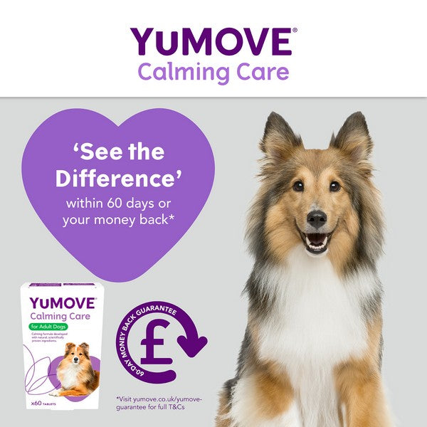 YuMOVE Calming Care for Adult Dogs | 60 pack