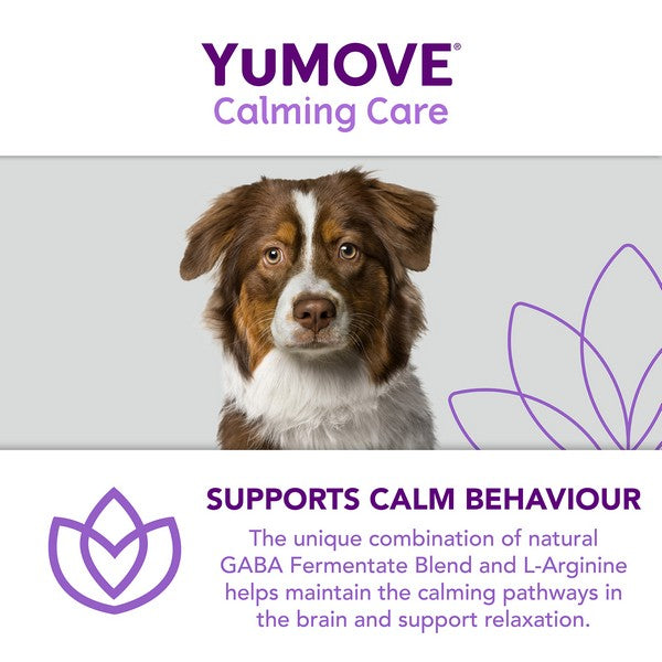 YuMOVE Calming Care for Adult Dogs | 60 pack