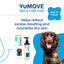 YuMOVE Skin & Coat Care Moulting for Adult Dogs | 500ml