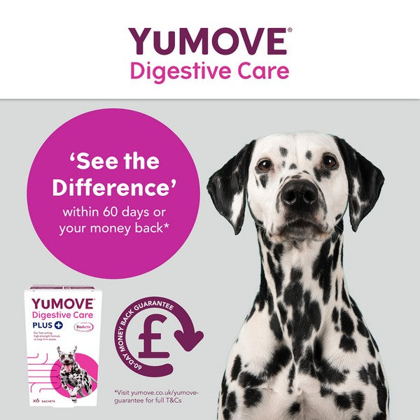 YuMOVE Digestive Care PLUS | 6 sachets