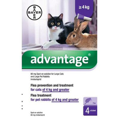 Advantage 80 Spot On Lge Cat Rabbit Over 4kg 4 Pip