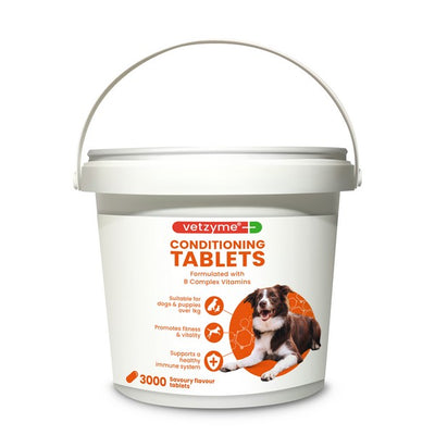 Vetzyme Conditioning Tablets (3000Tabs)