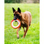 Chuckit! Rugged Fetch Wheel