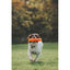 Chuckit! Air Fetch Stick Large