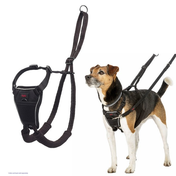 CoA Halti No Pull Harness