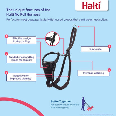 CoA Halti No Pull Harness