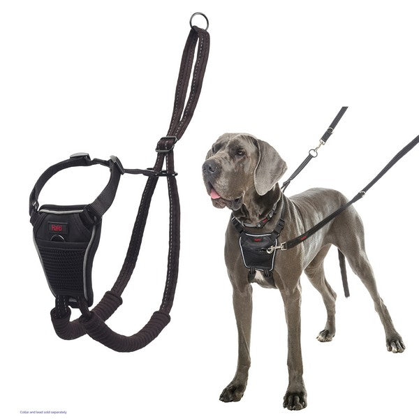 CoA Halti No Pull Harness