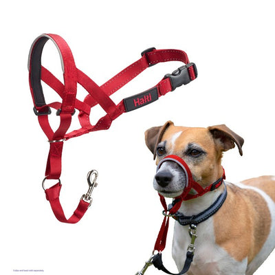 CoA Halti Headcollar Size 1 Red