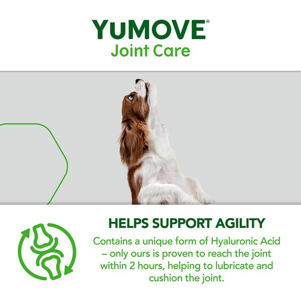 YuMOVE Joint Care for Young Dogs | 240 pack