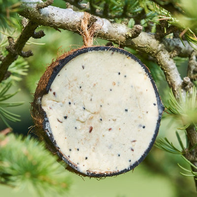 Harrisons Half Coconut Suet Feeders