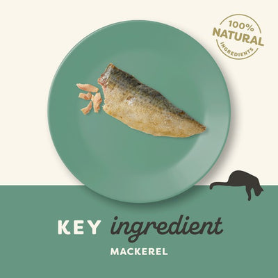 Applaws Cat Mackerel Loin 30g