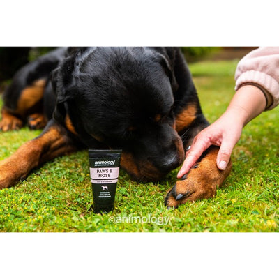 Animology Paws & Nose Balm 50ml