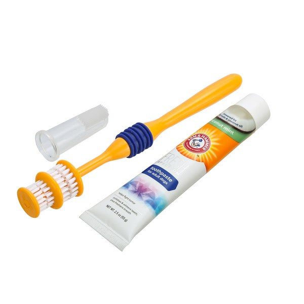 Arm and Hammer Fresh Coconut Dental Kit Dogs