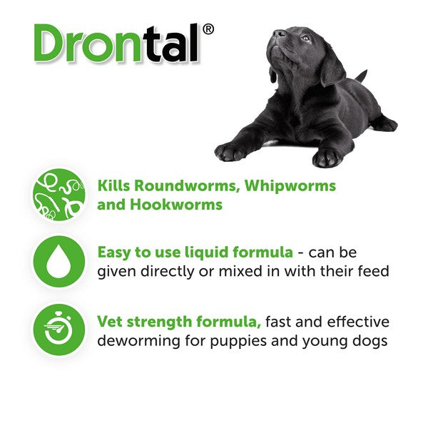 Drontal Puppy Batch 50ml