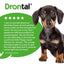 Drontal Puppy Batch 50ml