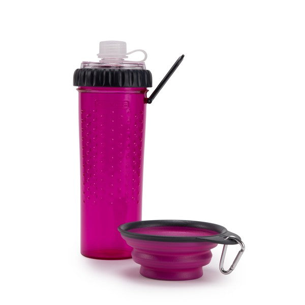 Dexas Snack-DuO with Companion Cup Fuchsia