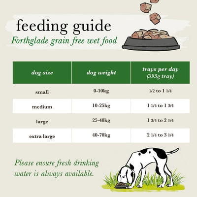 Forthglade Complete Adult Beef Grain Free 395g