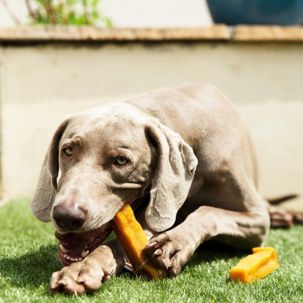 Petello Yak Cheese With Turmeric Dog Chew 115g