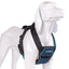 CarSafe Crash Tested Dog Harness