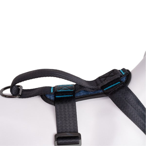 CarSafe Crash Tested Dog Harness