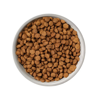 Natures Variety Selected Dry Mini Adult Dog Salmon 1.5kg