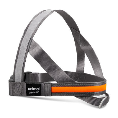 Animal Instincts Flashing Safety USB Full Shine Nylon Harness Grey/Orange S 60cm