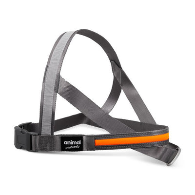 Animal Instincts Flashing Safety USB Full Shine Nylon Harness Grey/Orange M 75cm