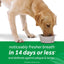 TropiClean Fresh Breath Dental Health Solution for Dogs 1L