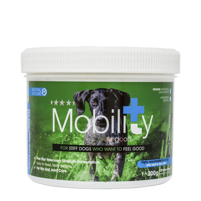 Natural Vet Care Mobility 300g