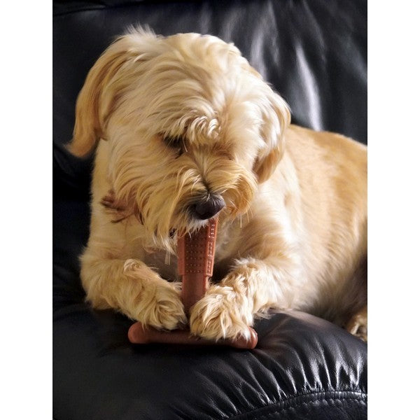 Bamboodles T Bone Chew Toy for Dogs Medium 6Inch Chicken Flavour