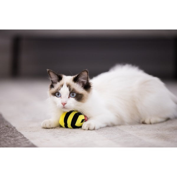 GiGwi Bee Motion Activated Bee Sound Cat Toy Yellow