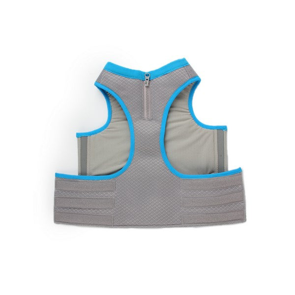 All For Paws Chill Out Cooling Vest Small